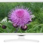 LG 28MT49VW-WZ : L’autre petit LED milieu de gamme de LG